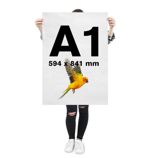 A1 Posters
